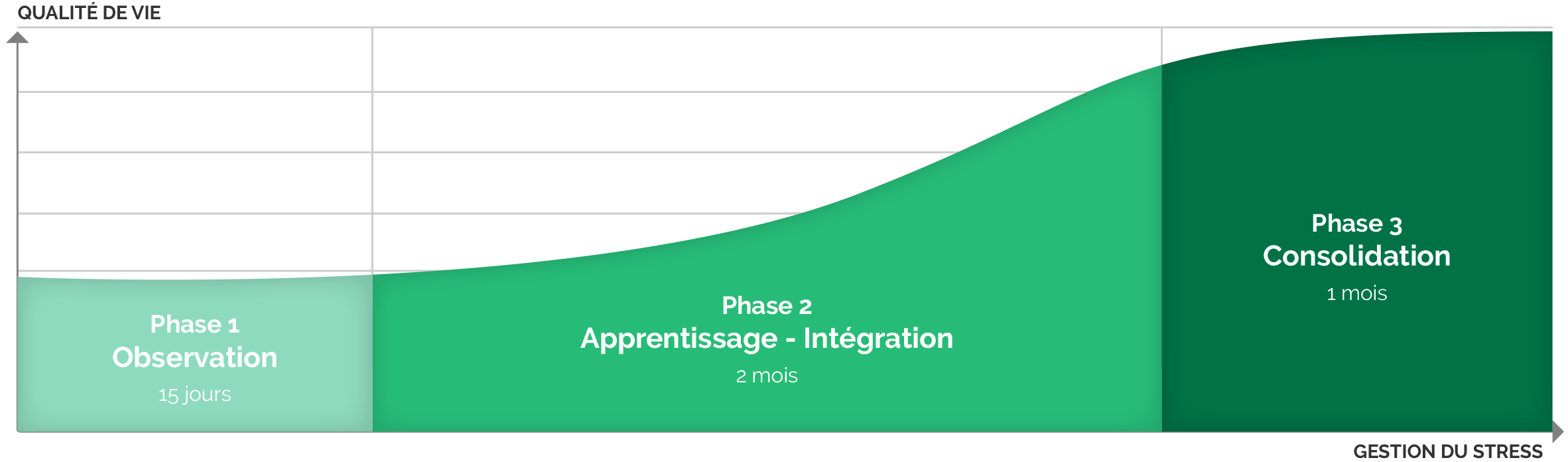 phases cle stress