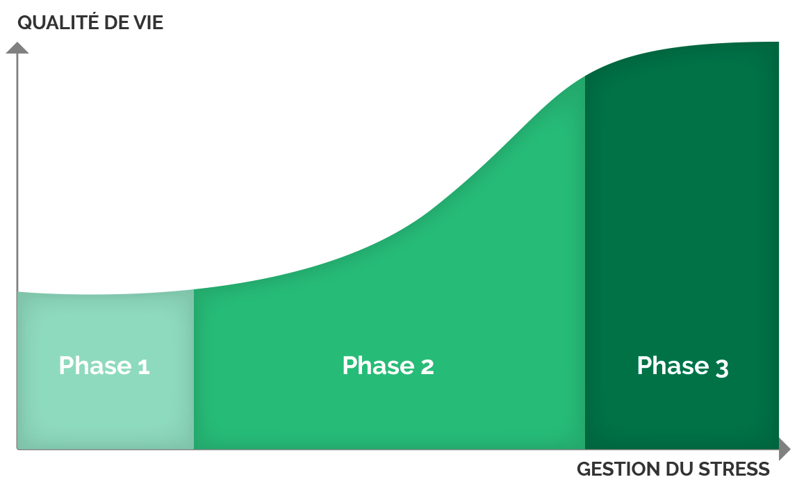 phases cle sommeil