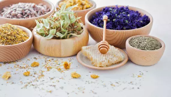 Anxiolytique naturel pour déstresser : Découvrez les 5 anxiolytiques naturels et déstressants